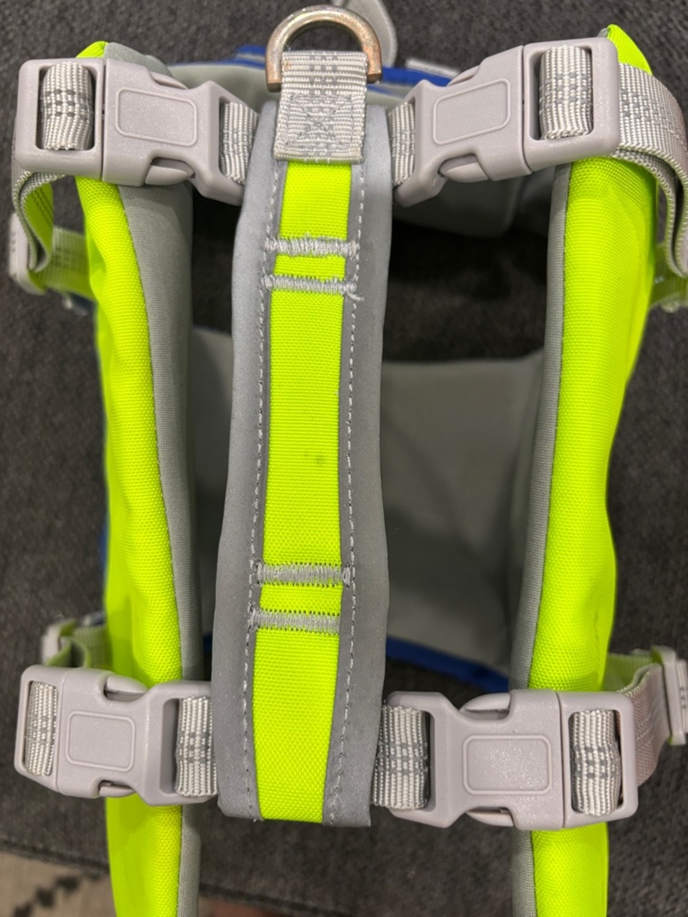 Life Jacket for dog🐶 - Picture 4 of 5